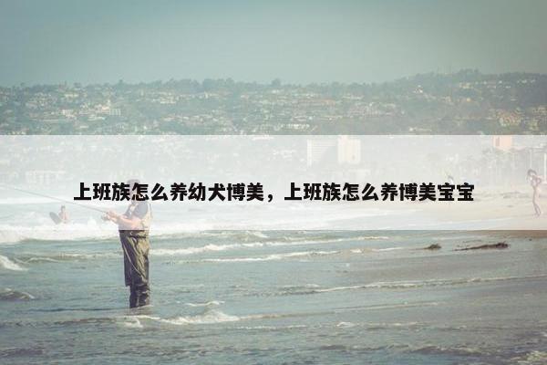 上班族怎么养幼犬博美，上班族怎么养博美宝宝