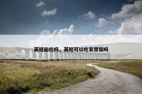 英短能吃吗，英短可以吃家常饭吗