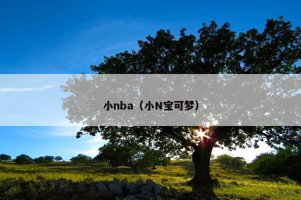 小nba（小N宝可梦）