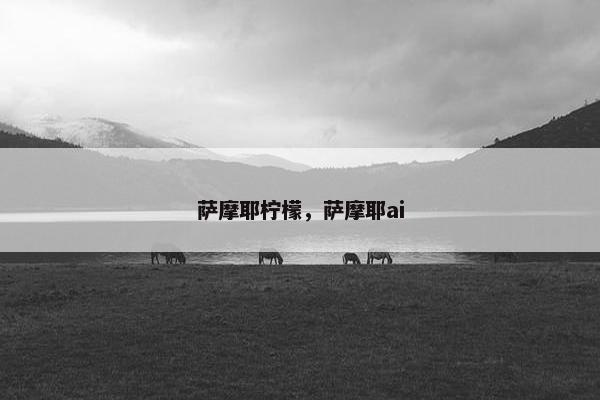 萨摩耶柠檬，萨摩耶ai
