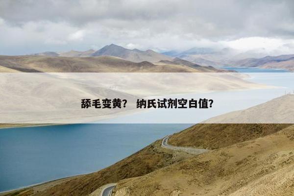 舔毛变黄？ 纳氏试剂空白值？