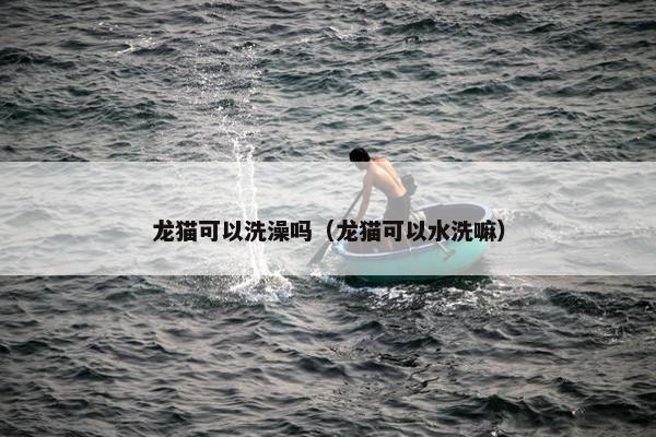 龙猫可以洗澡吗（龙猫可以水洗嘛）