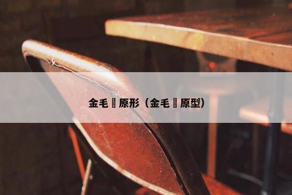 金毛犼原形（金毛犼原型）
