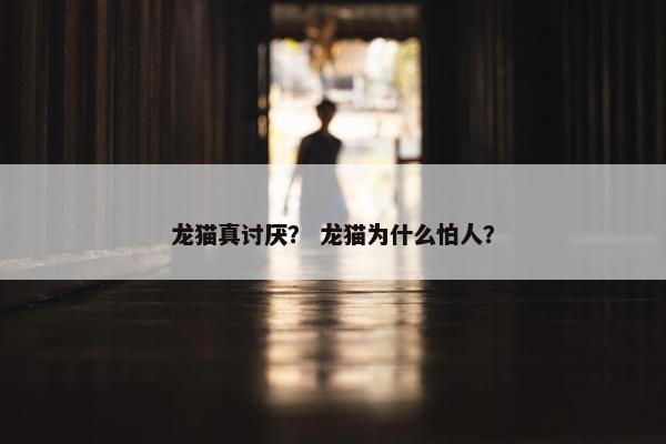 龙猫真讨厌？ 龙猫为什么怕人？