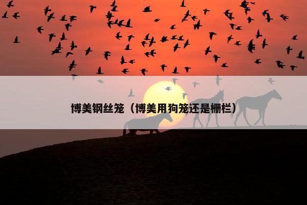 博美钢丝笼（博美用狗笼还是栅栏）