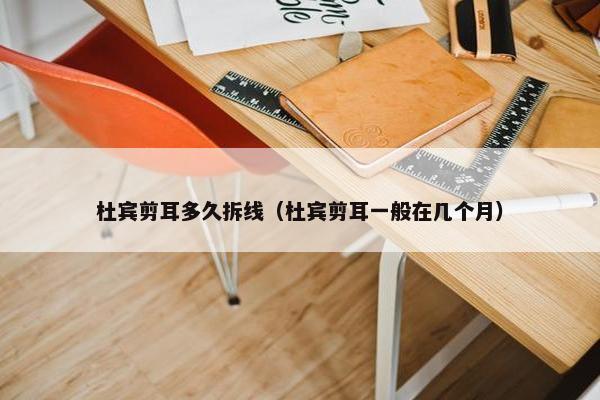 杜宾剪耳多久拆线（杜宾剪耳一般在几个月）