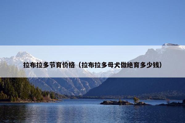 拉布拉多节育价格（拉布拉多母犬做绝育多少钱）