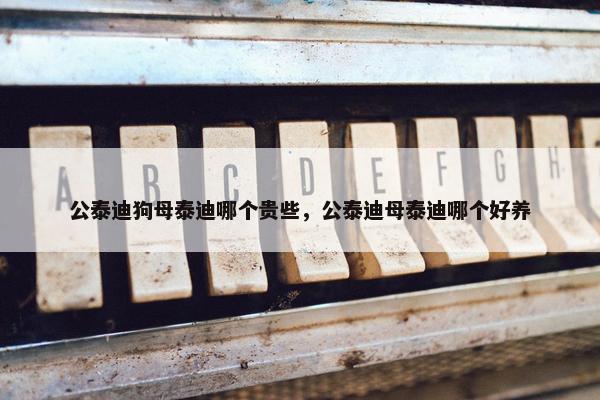 公泰迪狗母泰迪哪个贵些，公泰迪母泰迪哪个好养