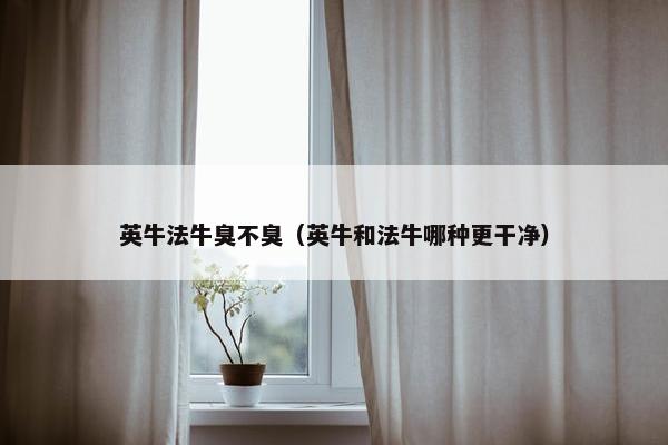 英牛法牛臭不臭（英牛和法牛哪种更干净）