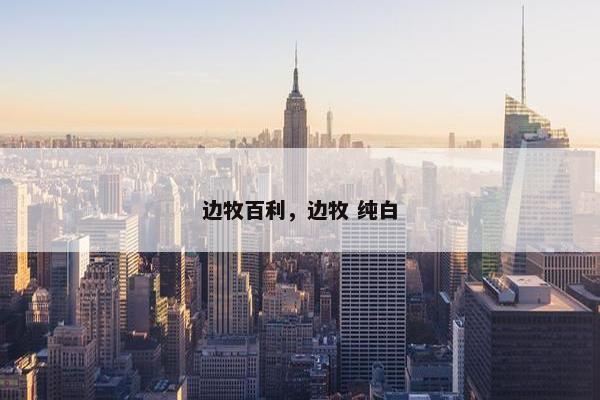 边牧百利，边牧 纯白