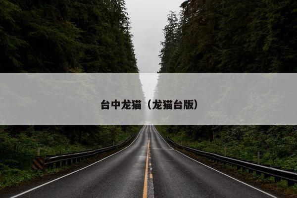 台中龙猫（龙猫台版）