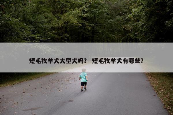 短毛牧羊犬大型犬吗？ 短毛牧羊犬有哪些？