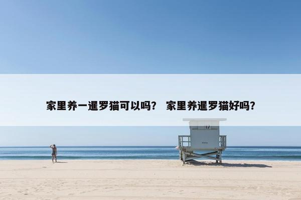 家里养一暹罗猫可以吗？ 家里养暹罗猫好吗？