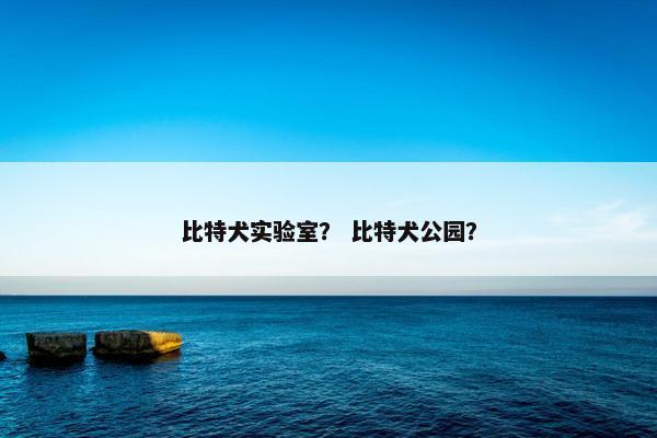 比特犬实验室？ 比特犬公园？
