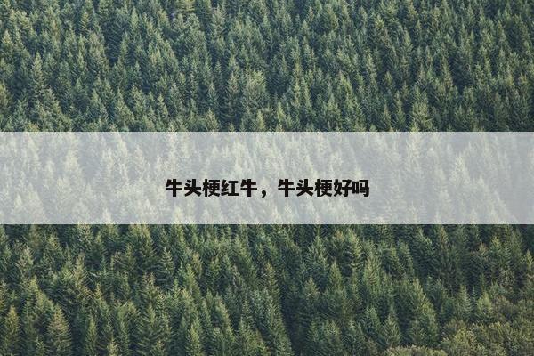 牛头梗红牛，牛头梗好吗