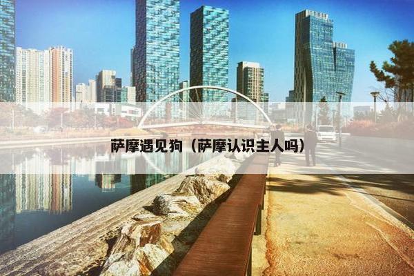 萨摩遇见狗（萨摩认识主人吗）