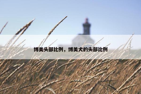 博美头部比例，博美犬的头部比例