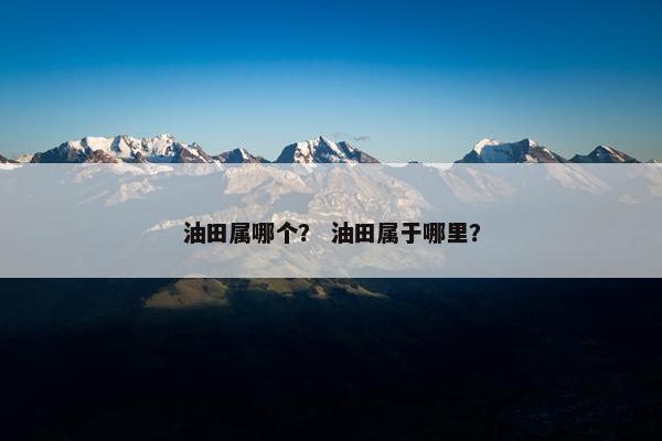 油田属哪个？ 油田属于哪里？