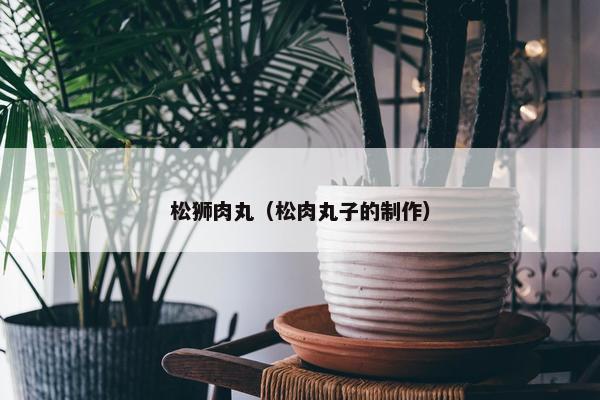 松狮肉丸（松肉丸子的制作）