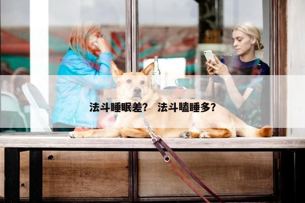 法斗睡眠差？ 法斗瞌睡多？