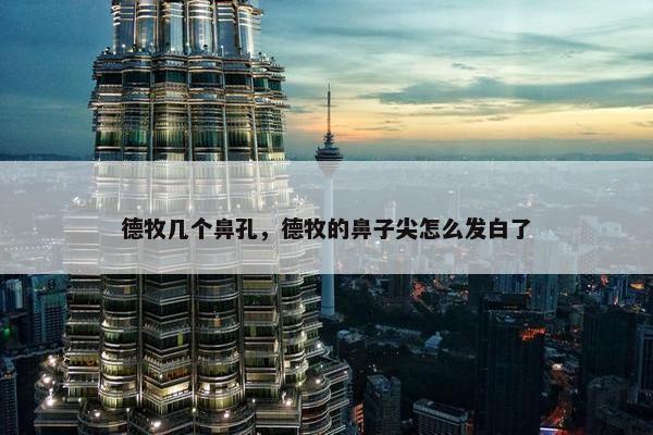 德牧几个鼻孔，德牧的鼻子尖怎么发白了