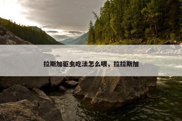 拉斯加驱虫吃法怎么喂，拉拉斯加