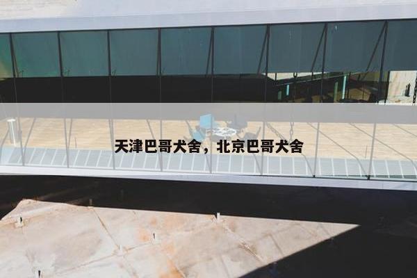 天津巴哥犬舍，北京巴哥犬舍