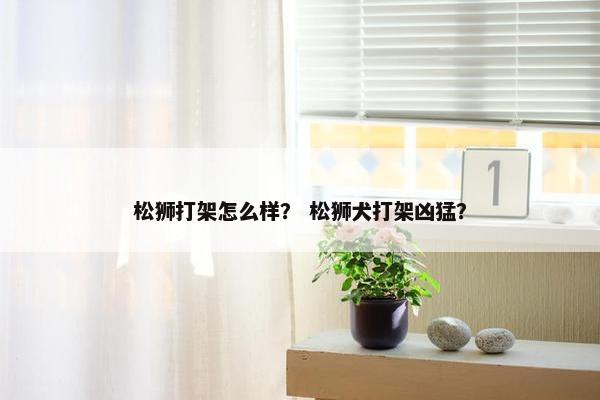 松狮打架怎么样？ 松狮犬打架凶猛？