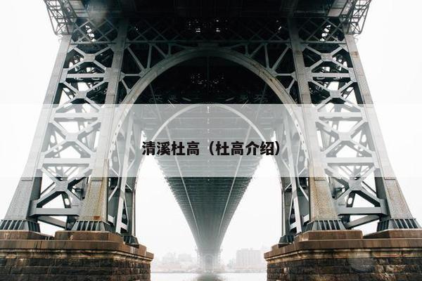 清溪杜高（杜高介绍）