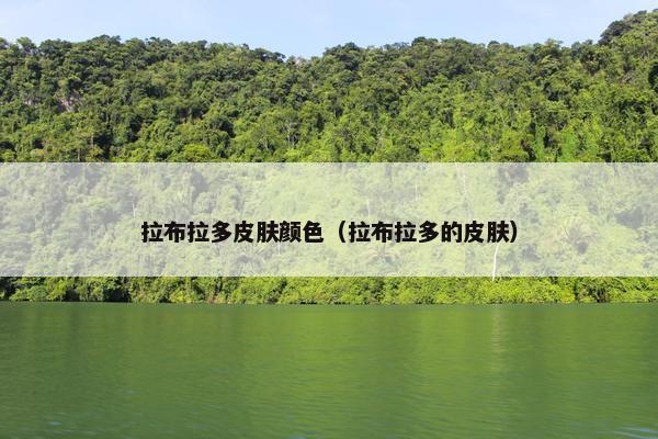 拉布拉多皮肤颜色（拉布拉多的皮肤）
