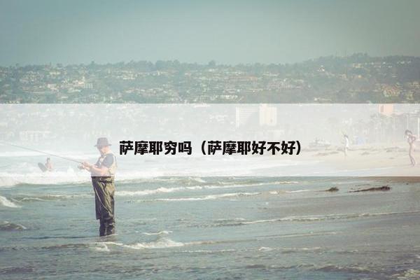 萨摩耶穷吗（萨摩耶好不好）