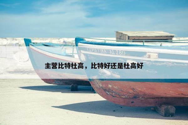 主营比特杜高，比特好还是杜高好