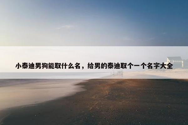 小泰迪男狗能取什么名，给男的泰迪取个一个名字大全