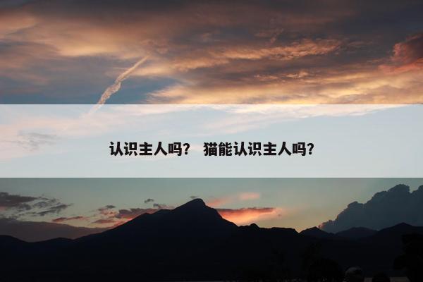 认识主人吗？ 猫能认识主人吗？