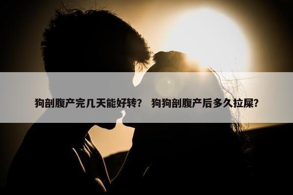 狗剖腹产完几天能好转？ 狗狗剖腹产后多久拉屎？