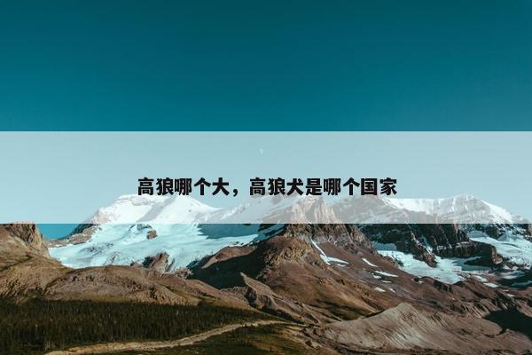 高狼哪个大，高狼犬是哪个国家