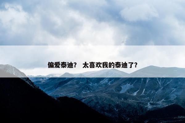 偏爱泰迪？ 太喜欢我的泰迪了？