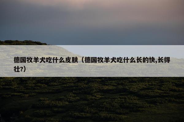 德国牧羊犬吃什么皮肤（德国牧羊犬吃什么长的快,长得壮?）