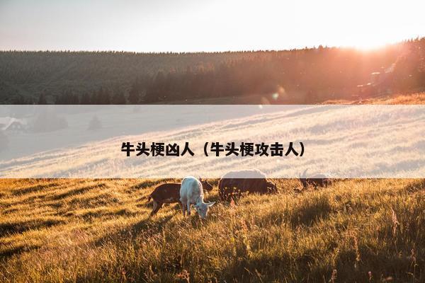 牛头梗凶人（牛头梗攻击人）