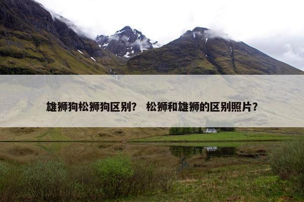 雄狮狗松狮狗区别？ 松狮和雄狮的区别照片？