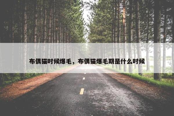 布偶猫时候爆毛，布偶猫爆毛期是什么时候
