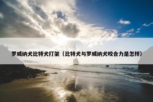 罗威纳犬比特犬打架（比特犬与罗威纳犬咬合力是怎样）