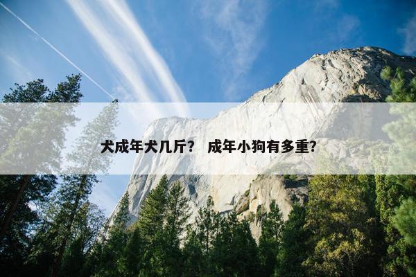 犬成年犬几斤？ 成年小狗有多重？