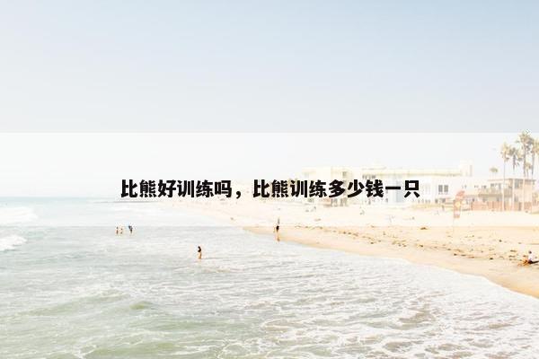 比熊好训练吗，比熊训练多少钱一只