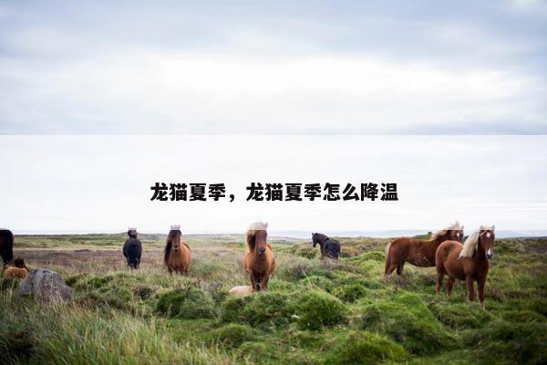 龙猫夏季，龙猫夏季怎么降温