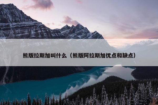 熊版拉斯加叫什么（熊版阿拉斯加优点和缺点）