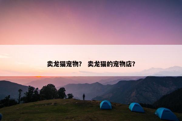 卖龙猫宠物？ 卖龙猫的宠物店？