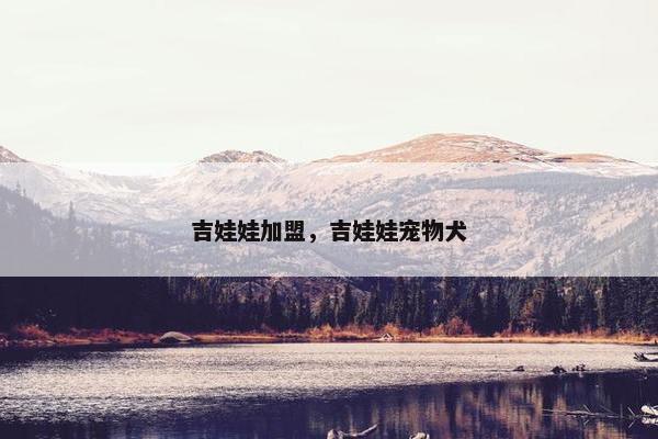 吉娃娃加盟，吉娃娃宠物犬