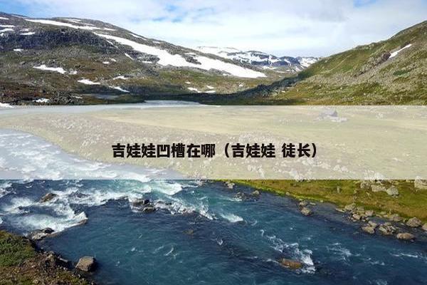 吉娃娃凹槽在哪（吉娃娃 徒长）