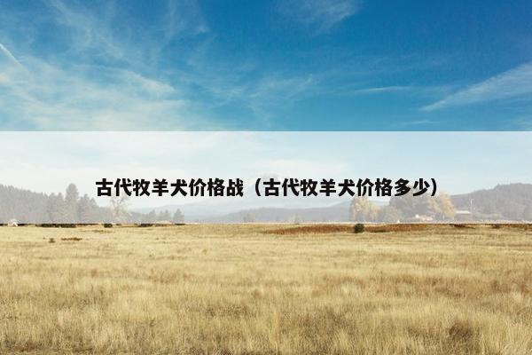 古代牧羊犬价格战（古代牧羊犬价格多少）